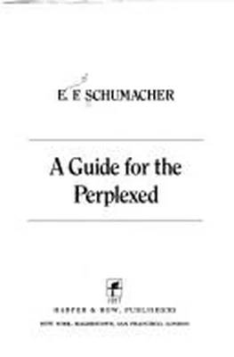 A Guide for the Perplexed